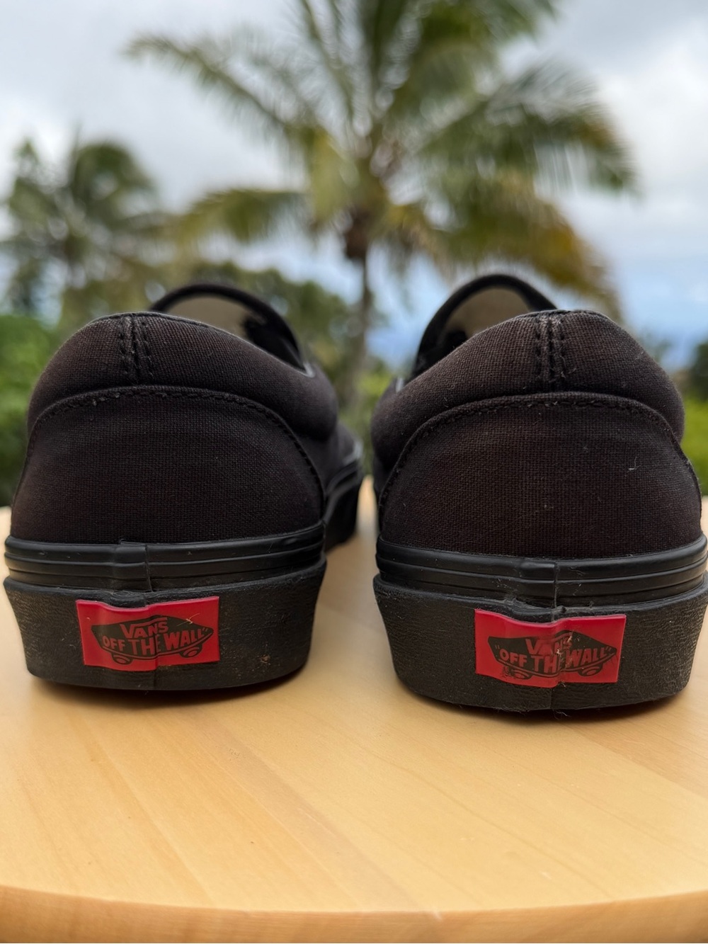 Vans - Picture 7 of 14